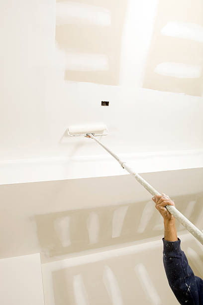 Trusted Chatfield, MN Drywall & Painting Services Experts